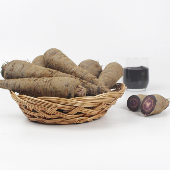 서산농부의 자색당근 1kg / 3kg / 5kg / 10kg 흙당근 비선별 비세척