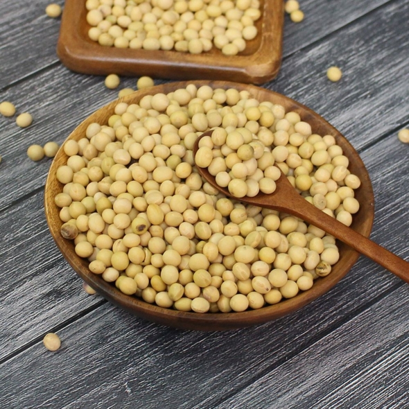 (25년산) 홍성농부의 백태 1kg 메주콩 노란콩 대두