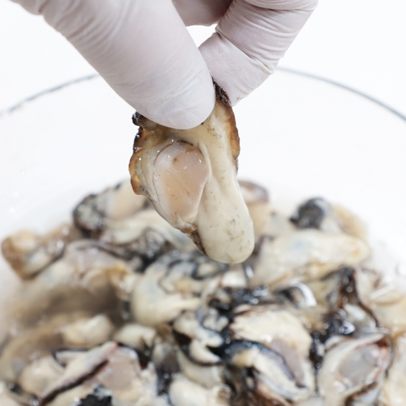 [깐굴브팜] 고품질 통영 생굴 깐굴 1kg 2kg 3kg 중굴 위주 얼음 포장