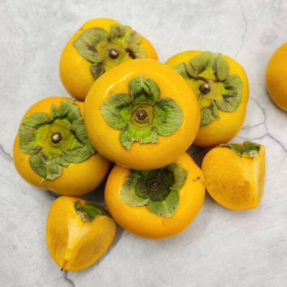 [제철_햇단감] 아삭아삭 달콤한 햇단감 [1kg-5kg]