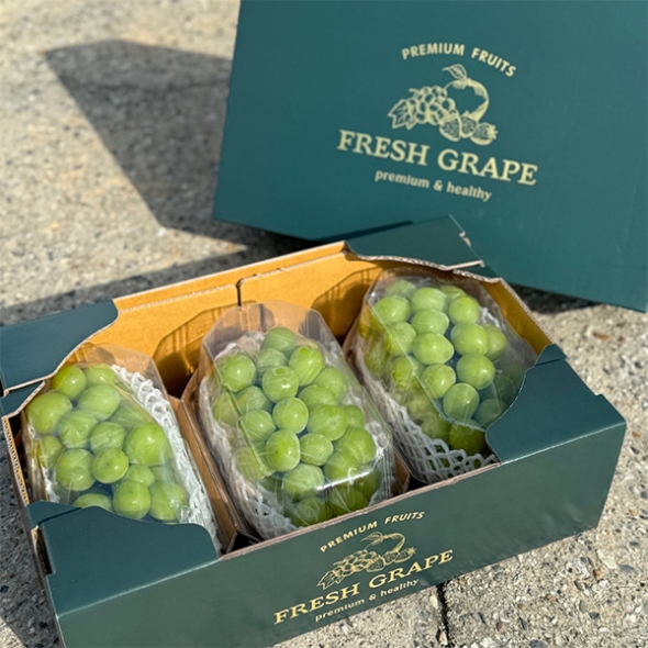 [만원의 행복] 식이섬유가 풍부한  샤인머스캣