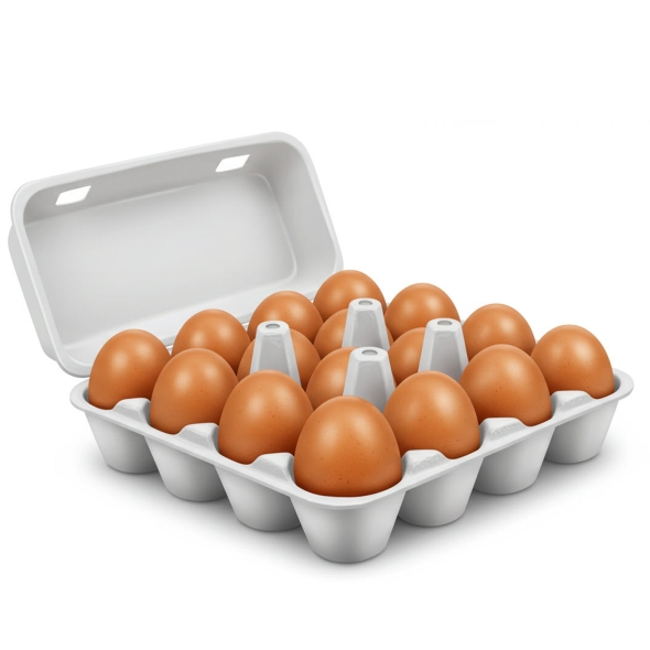 [신한카드 할인] [HACCP] 힘내란 신선 대란(계란) 15개입 / 무항생제 왕란(계란) 15개입