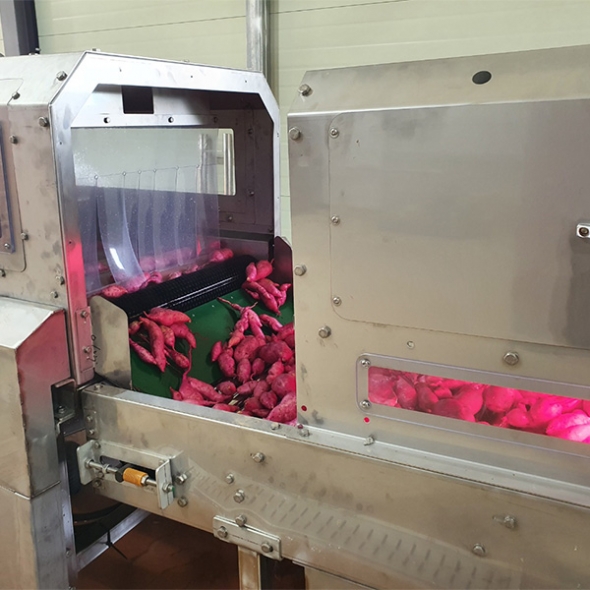 [신한카드 할인] 꿀 뚝뚝  해남 꿀고구마