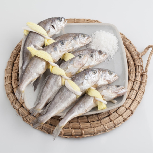 [영광굴비] 명품 영광굴비 20미 [1.4kg-2.2kg] 