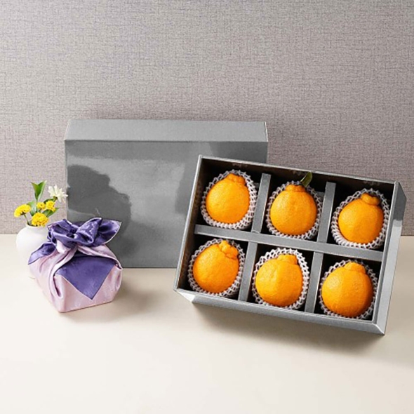 [신한카드 할인] [흙이음] [6과수] 한라봉 명절 기프트 선물세트