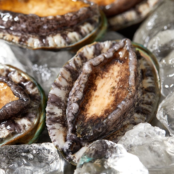 완도 활전복 1kg