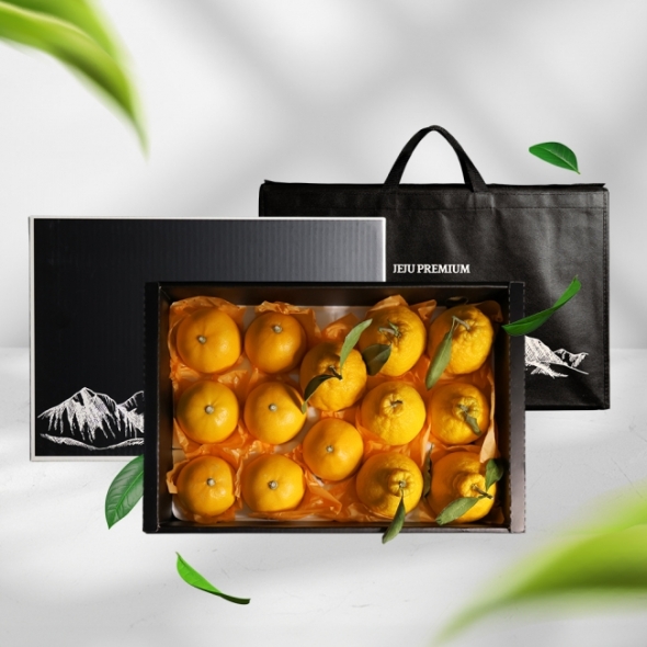 [오커브팜] 제주 한라봉 레드향 천혜향 만감 혼합 선물세트