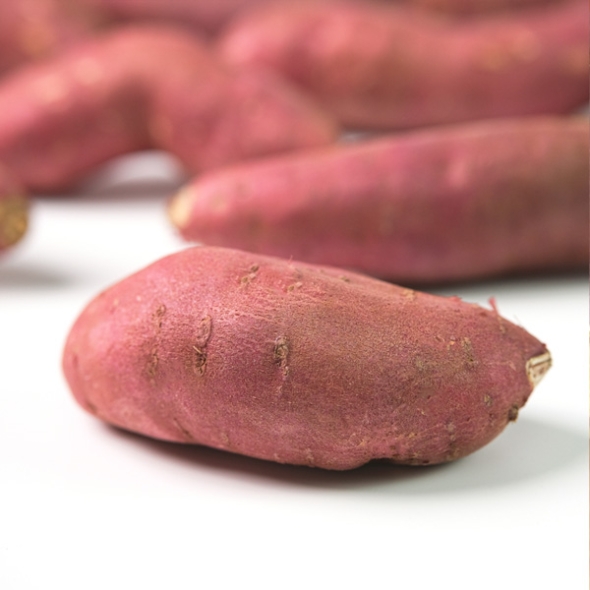 [농협] 한아름드린 세척 밤고구마 2kg/3kg/5kg/10kg(특상/100-300g)