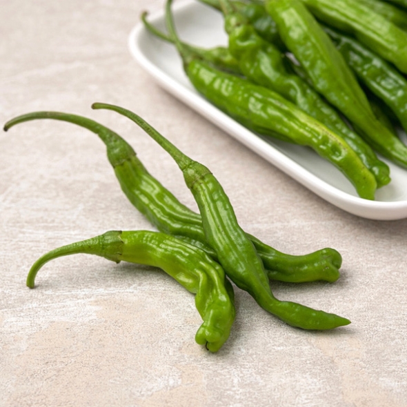 [농협] 한아름드린 신선 꽈리고추 1kg/2kg/3kg/4kg(특)