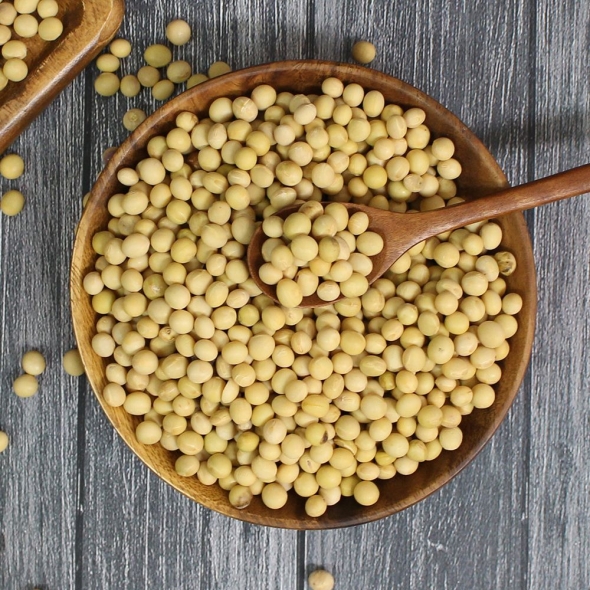 (25년산) 홍성농부의 백태 1kg 메주콩 노란콩 대두