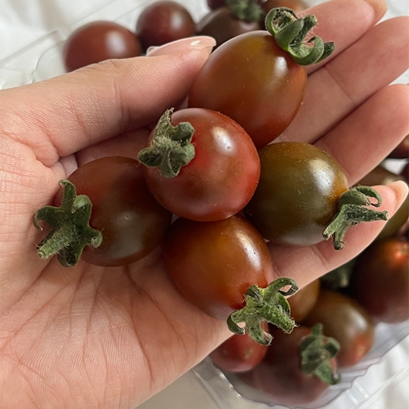 [만원의 행복] 프리미엄 흑대추 방울토마토(푸)