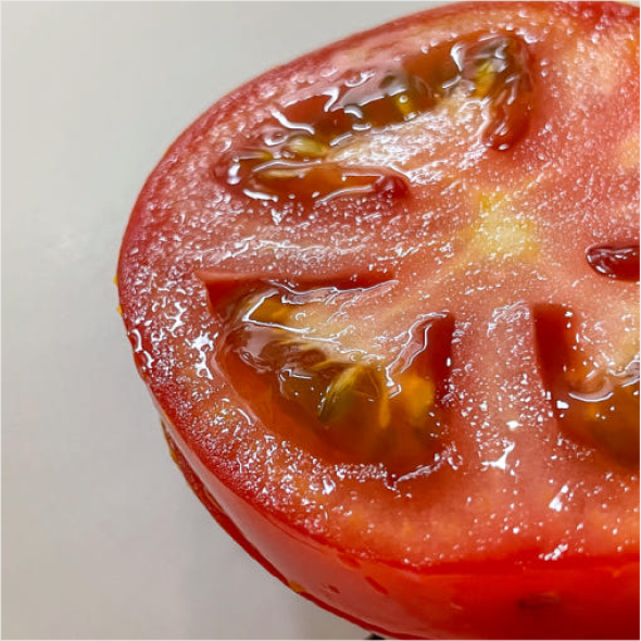 [만원의 행복] [토마디어] 찰진 완숙토마토 1kg 2kg 3kg 5kg 빨간 토마토