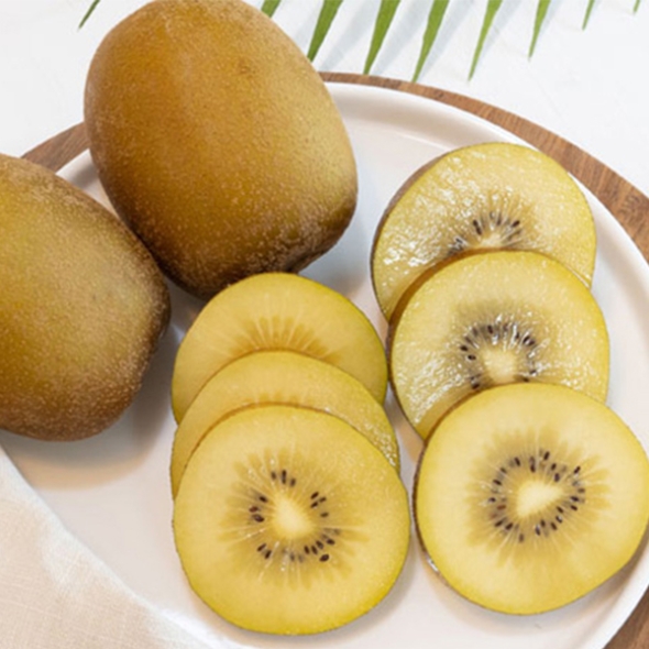 [보름데이] 키위최고 국내산 키위 골드키위 1kg 2kg