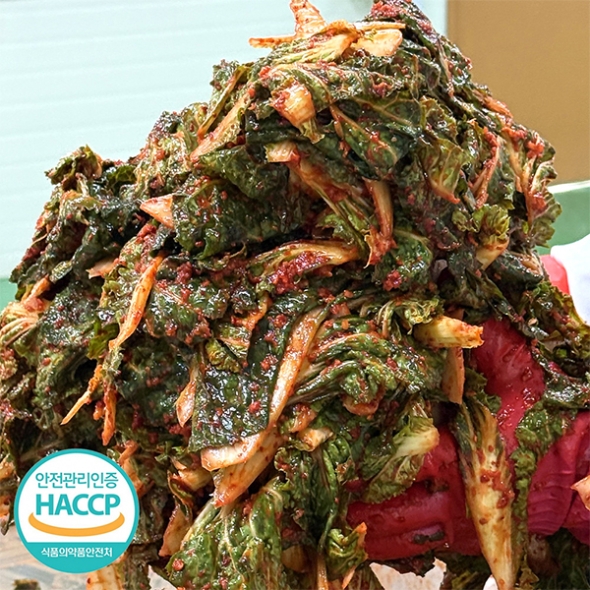 전라도의 맛 봄동 겉절이(푸)