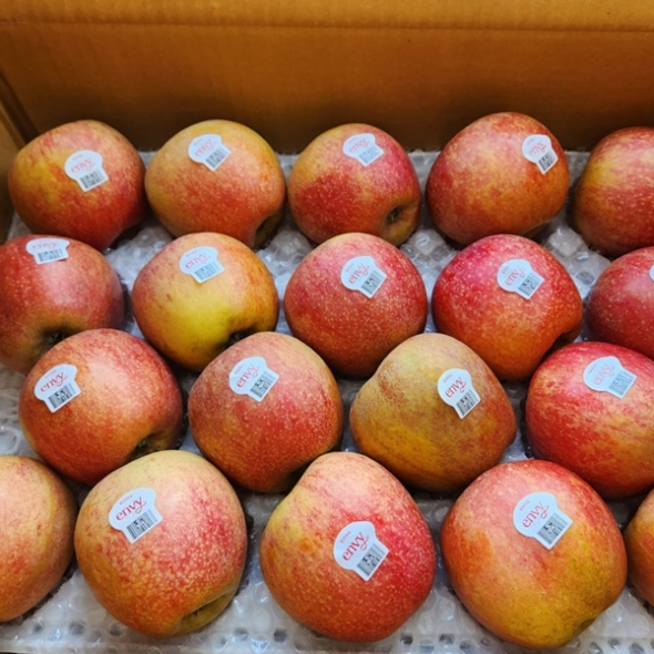 [보름데이] [명품사과]달콤한 엔비사과 가정용 2kg/3kg/ 5kg