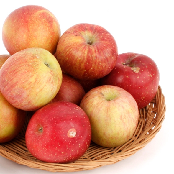 [과일예찬] 못생겨도 맛좋은 가정용 사과 5kg(15-25내)