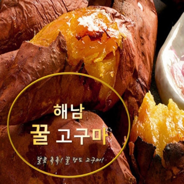 [보름데이]  해남 꿀고구마 베니하루카 2kg 3kg 5kg 10kg