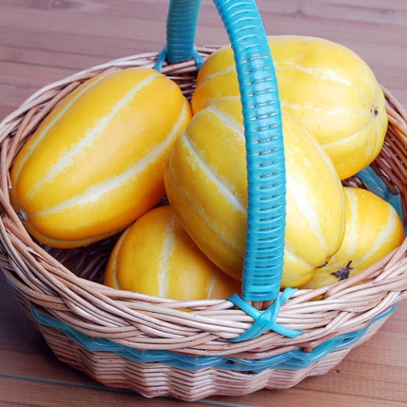 [푸토리] 향기좋은 성주참외 1kg(3~6과)