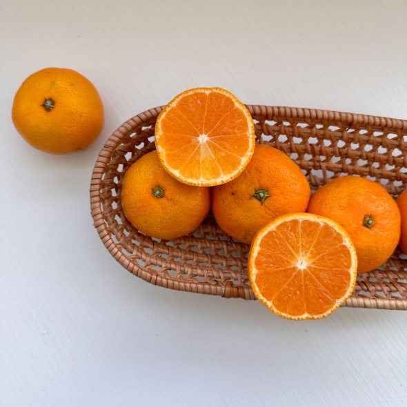 [★100개 한정][제주직송] 프리미엄 노지감귤