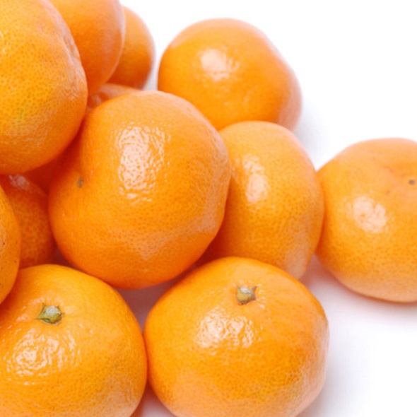 [푸토리] 산지직송 새콤달콤 제주 타이백 감귤 2kg