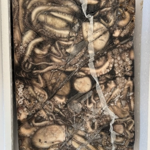 벌크형 문어15kg  냉동문어  3미전후 균일한 사이즈