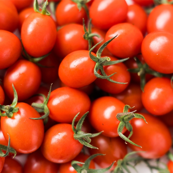 [오아최고] 스테비아 방울 토마토 500g 1팩 2팩 3팩 4팩