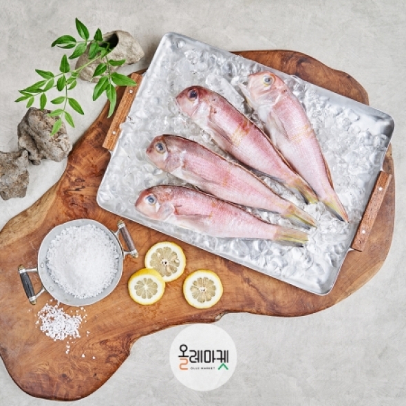 [제주올레] 통옥돔 120g * 5미