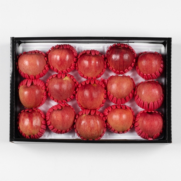 [선물세트]프리미엄 혼합과일 선물세트(푸)