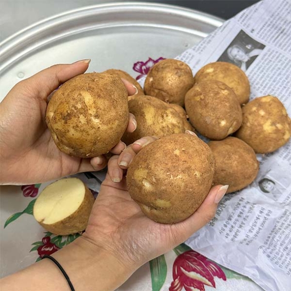 감자  (수미 or 두백)  