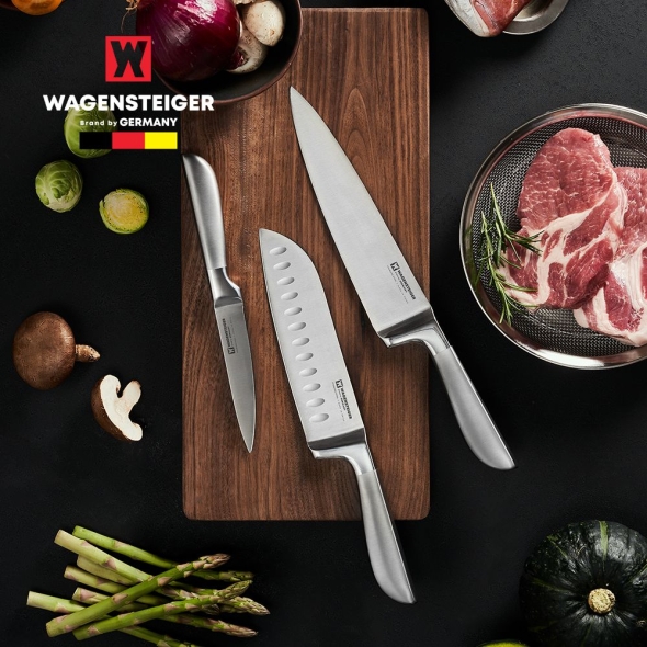 [만원의행복] 바겐슈타이거 슈미트 나이프_과도