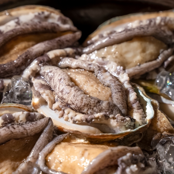 완도 최고급 전복 8-9미 1kg