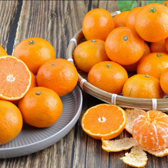  [농협] 한아름드린 제주 노지감귤 2kg/3kg/5kg (사이즈S)