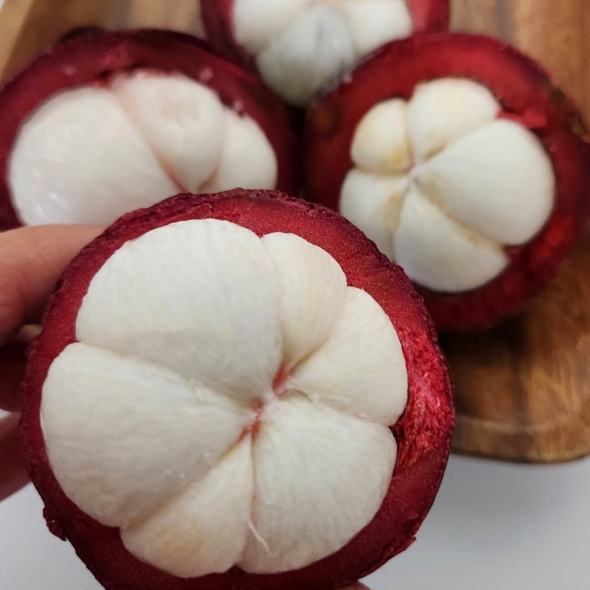 [오커늘푸] 망고스틴 생 망고스틴 500g