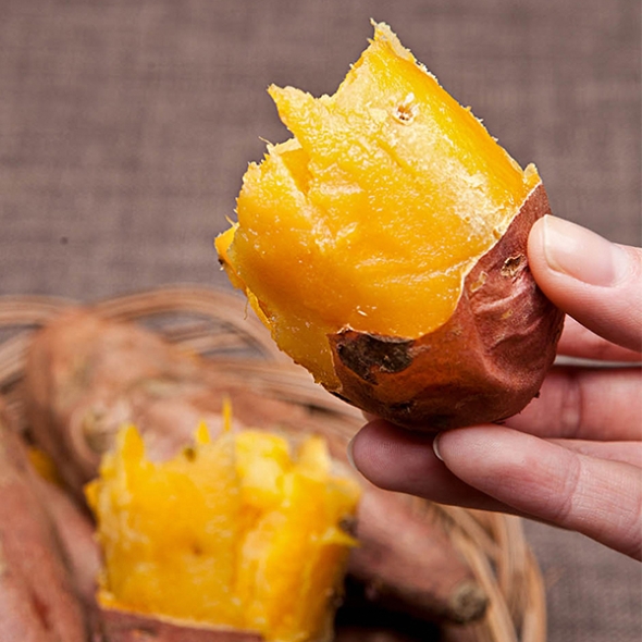 [오커캄스] 해남 고구마 베니하루카 꿀고구마