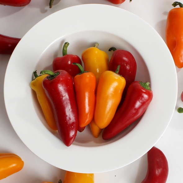 홍성 엄마농부의 유기농 삼색 미니파프리카 1kg (무선별) [26년산] 당일수확 파프리카