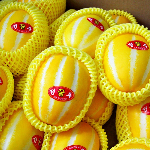 [오커캄스] 성주 꿀당도 참외 2kg 3kg 정품 개별망 포장