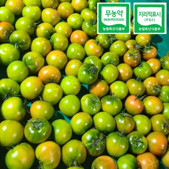 [바른샘] 무농약 대저 짭짤이 토마토 2.5kg(M) / 2.5kg(S_2S)