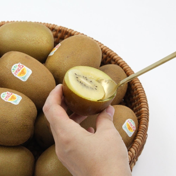 [오커캄스] 제스프리 골드키위 1kg 2.8kg