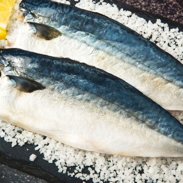 [안동맛자반] 순살간고등어 6팩+1팩 더(팩당 170g) / 11팩+1팩 더(팩당 170g)