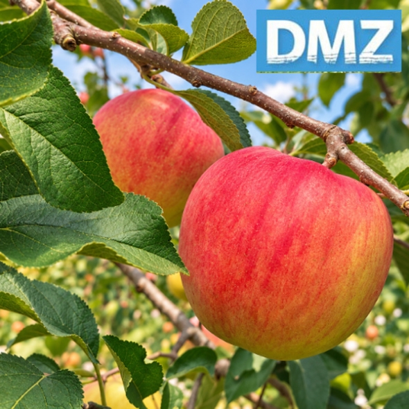 [첫출하/DMZ 철원사과] 고당도 철원사과 아리수/홍로 [3kg-5kg]