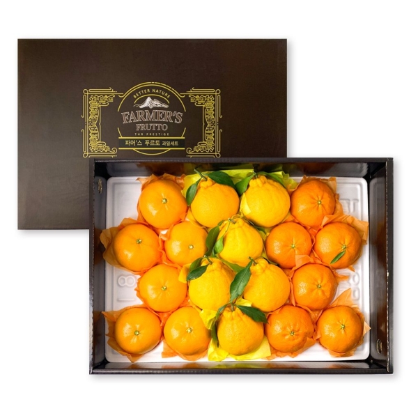  [신한카드 할인] 새콤달콤 제주 만감류 레드향 천혜향 한라봉 프리미엄 선물세트