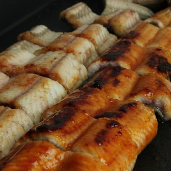 [보름데이] 풍천장어 100% 품질보증 기운센 불끈불끈 전북 고창 민물장어 1KG (손질전)