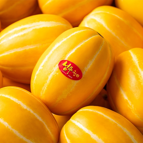 달콤아삭 향긋한 가정용 성주참외