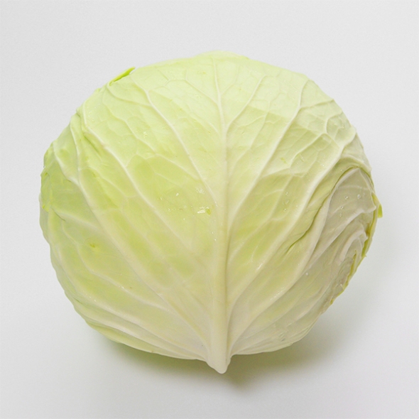 [보름데이] 아삭한 제주 양배추(푸)