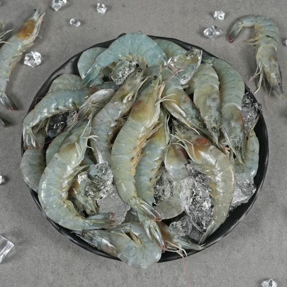 [산지직송] 국내산 활 흰다리새우 500g/1kg