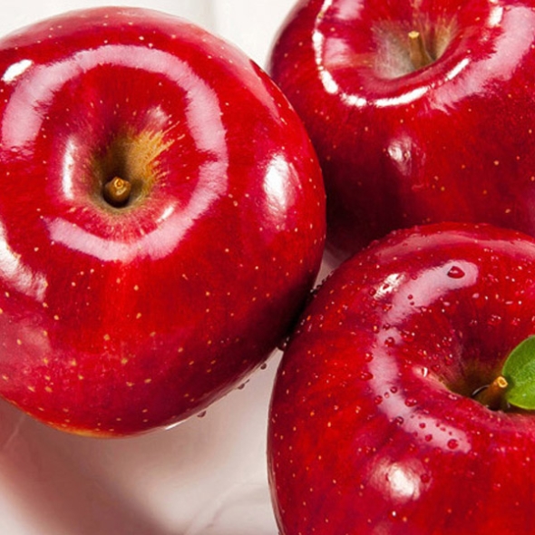 [GAP] 저탄소 인증 문경 약돌사과 10kg (26~44과)