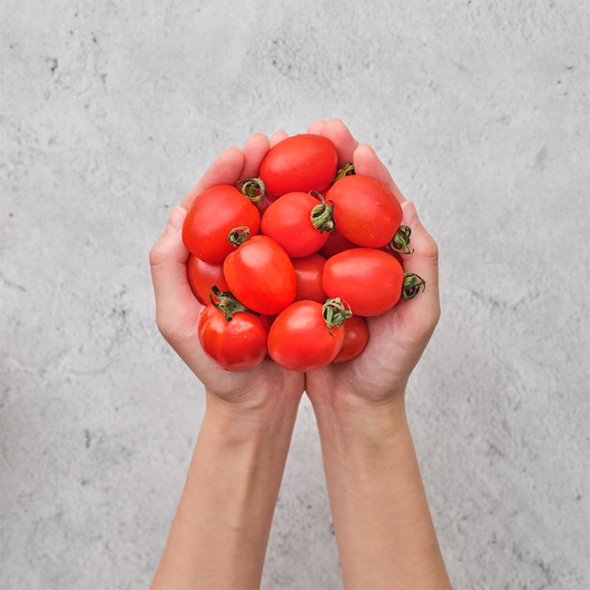 [만원의 행복] 샤인달콤 스테비아 방울토마토