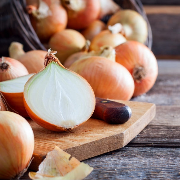 [부엌애] 25년 햇양파 부안 해풍양파 못난이양파 5kg/10kg