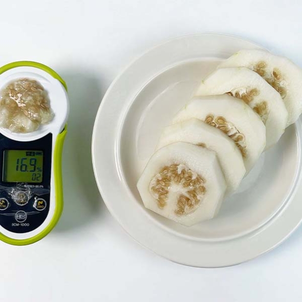 [으뜸] 산지직송 성주 꿀참외