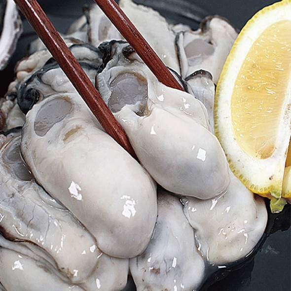 (산지직송)  -   통영 햇 생굴 1kg,2kg,3kg,5kg